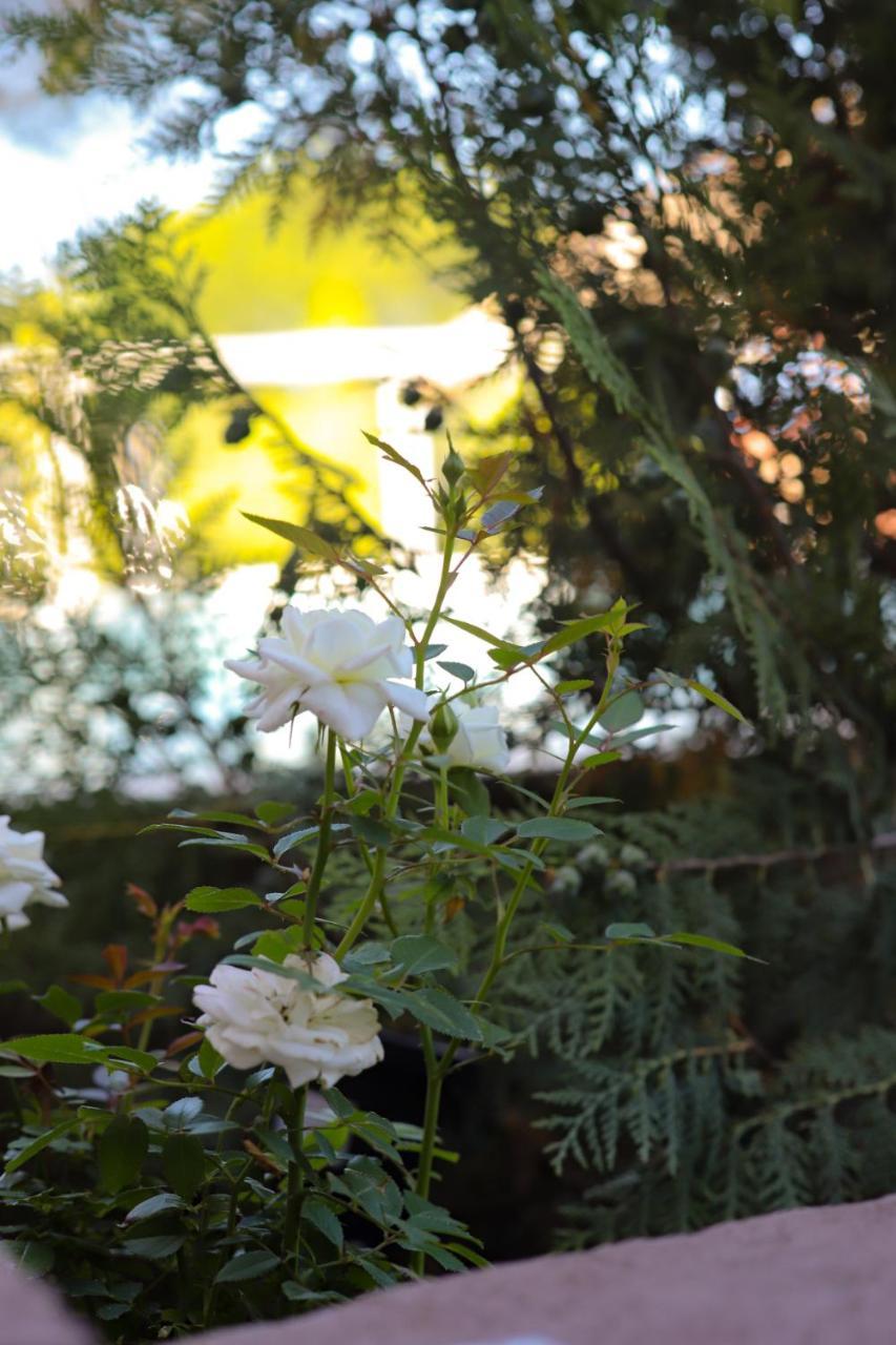 Brezos Hotel & Spa Valeria del Mar Dış mekan fotoğraf
